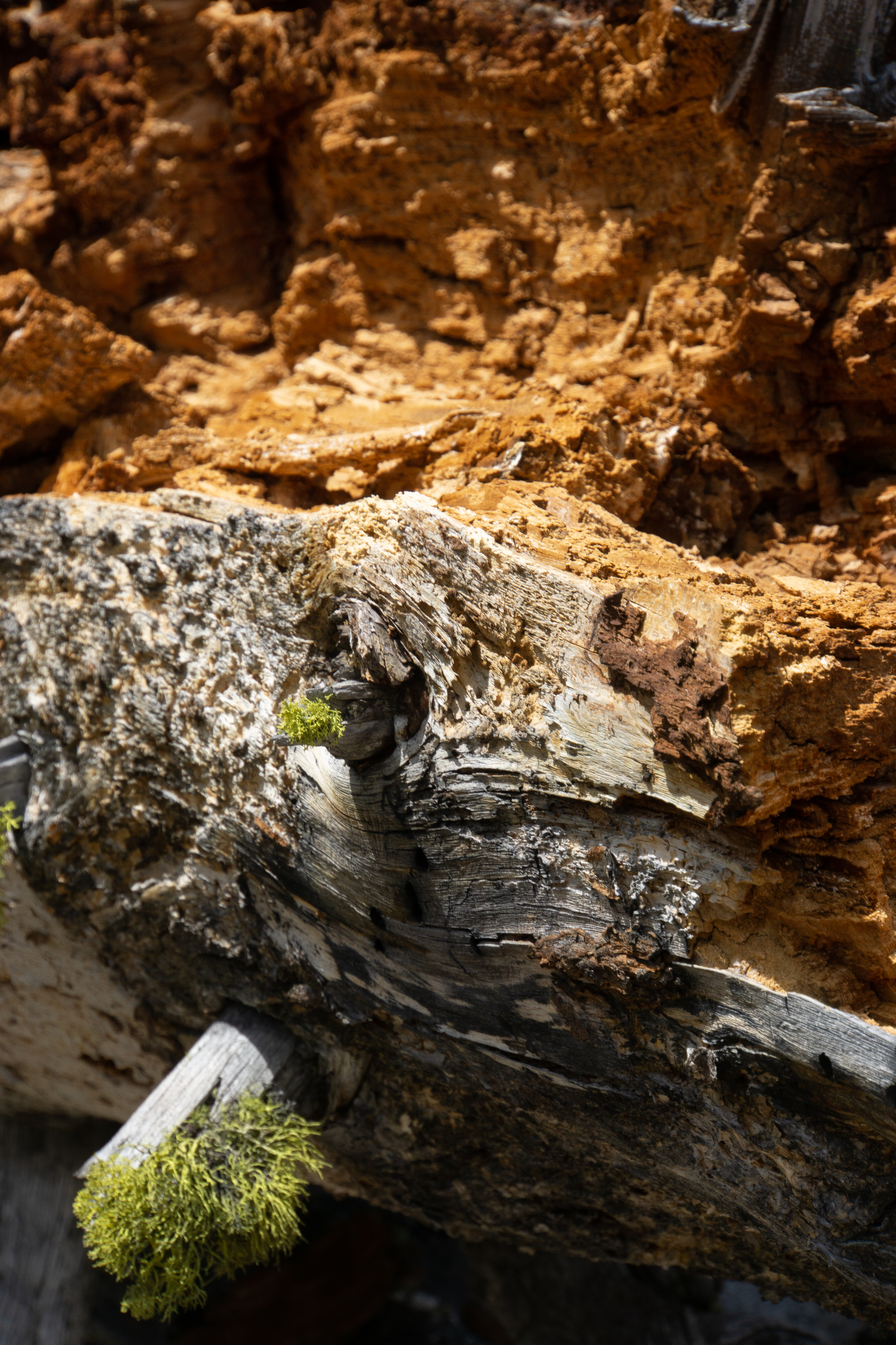 US National Parks 2022 36